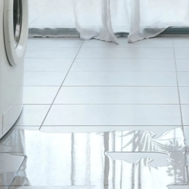 Appliance Leak Cleanup in Du Quoin, IL