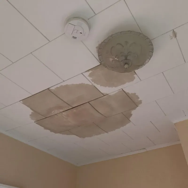 Ceiling Water Damage Repair in Du Quoin, IL