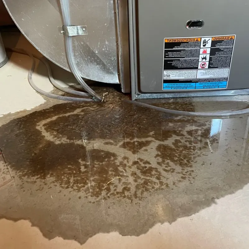 Pipe Burst and Leak Restoration in Du Quoin, IL