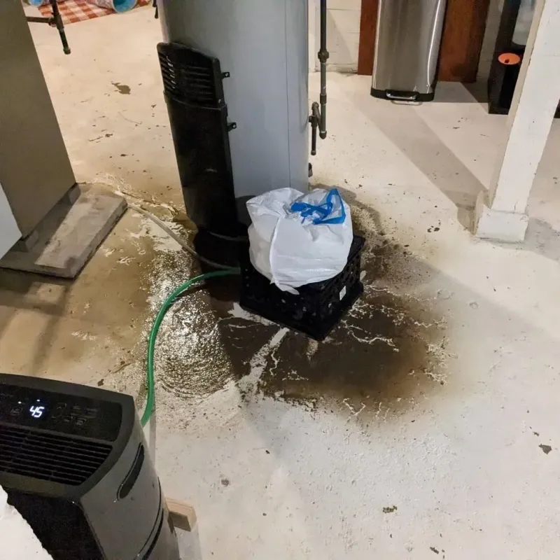 Sewage Backup Cleanup Service in Du Quoin, IL